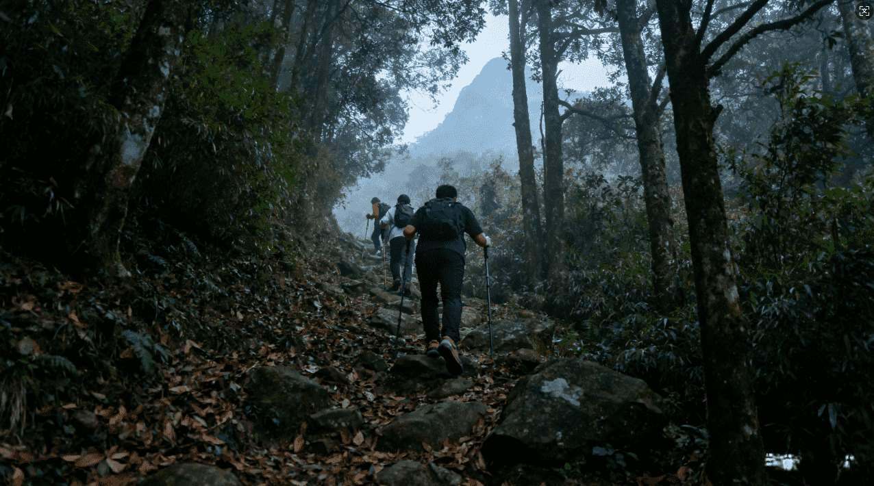 加速器中的VPN与普通VPN有何区别